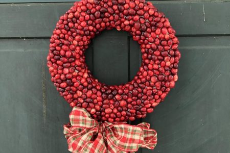 Comment Faire Une Couronne De Canneberges