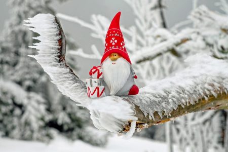 Faits Et Anecdotes De Noël
