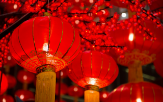 Nouvel An Chinois 2021: L'année Du Boeuf