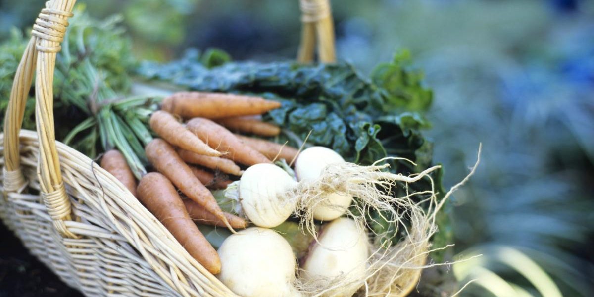 10 Légumes Les Plus Faciles à Cultiver à La Maison
