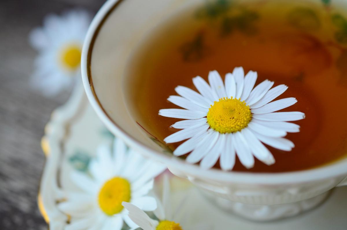 Comment faire une tisane - Technospeak