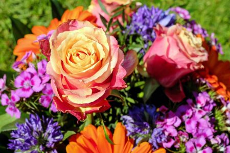 Les Fleurs Du Mois De Naissance Et Leur Signification