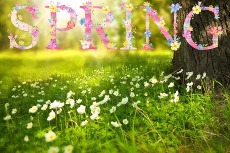 Premier Jour Du Printemps 2021: L'équinoxe De Printemps