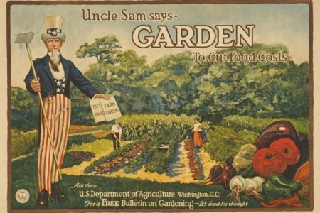 Que Planter Dans Un Jardin De La Victoire