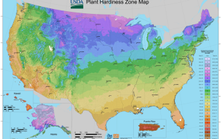 Que Sont Les Zones De Rusticité Des Plantes?