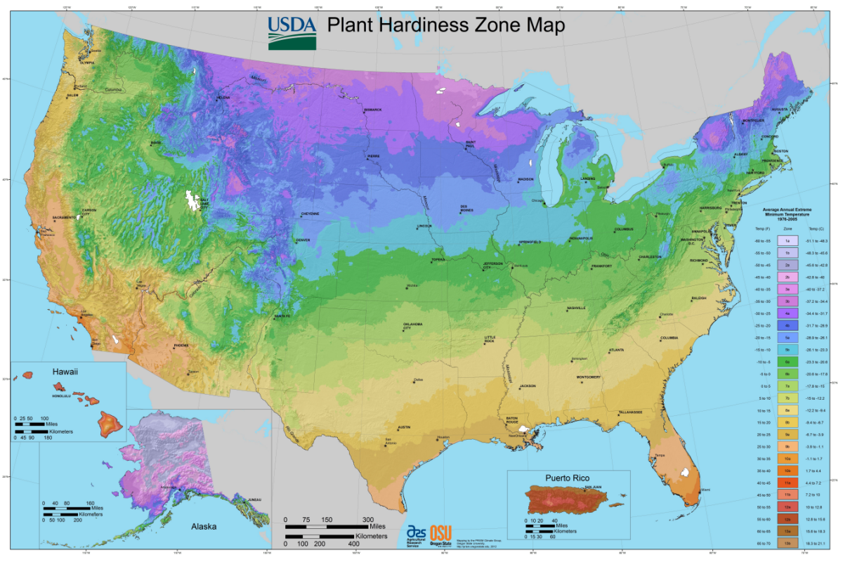 Que Sont Les Zones De Rusticité Des Plantes?