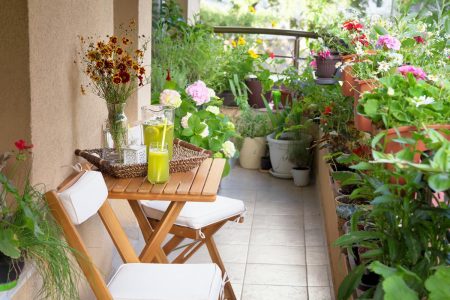 10 Conseils Pour Démarrer Un Jardin Avec Balcon