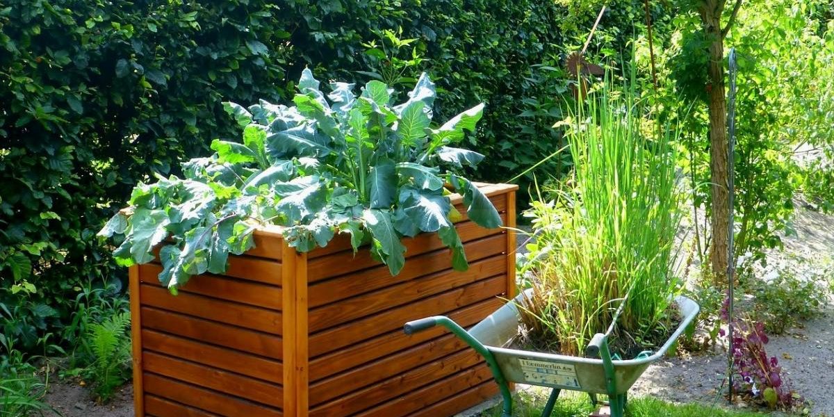 5 Conseils Pour Le Jardinage Dans Les Petits Espaces