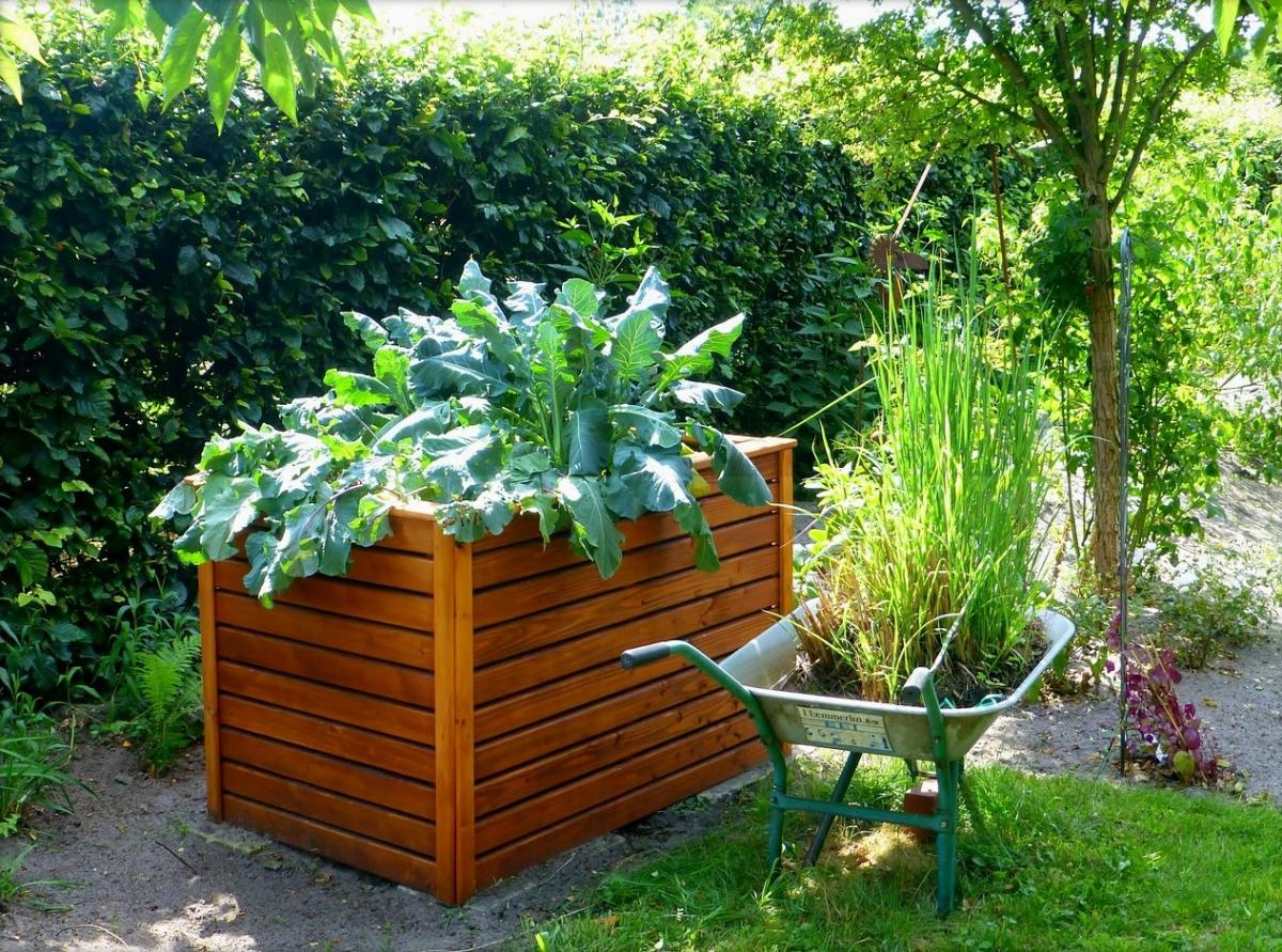 5 Conseils Pour Le Jardinage Dans Les Petits Espaces