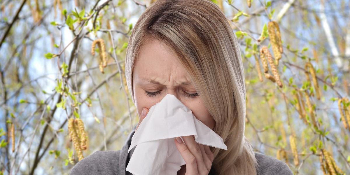 Allergies Printanières Et Prévisions Météorologiques