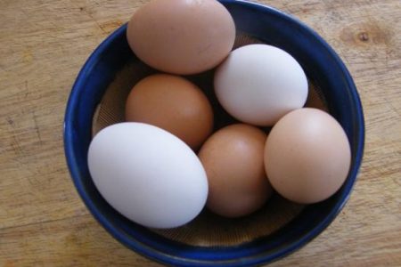 Utilisations Des œufs Pour Les Coquilles D'œufs