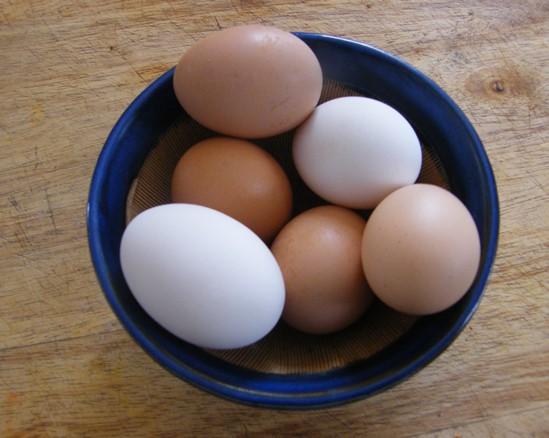 Utilisations Des œufs Pour Les Coquilles D'œufs