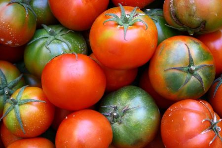 10 conseils pour faire pousser des tomates