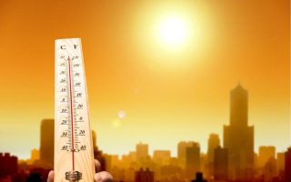 canicules : 10 conseils pour la sécurité en cas de chaleur extrême