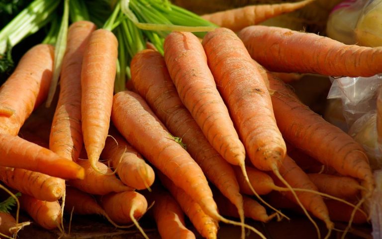 carottes : bienfaits pour la santé