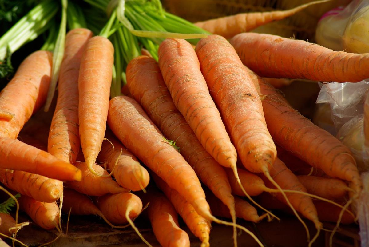 carottes : bienfaits pour la santé