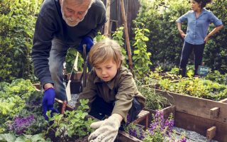 jardiner avec les enfants : quoi planter et activités amusantes