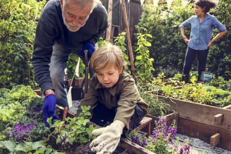 jardiner avec les enfants : quoi planter et activités amusantes