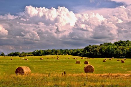 prévisions météo estivales 2021 : été chaud et orageux en route