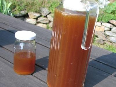 recette switchel (haymaker's punch)