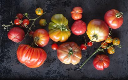 15 délicieuses recettes de tomates d'été