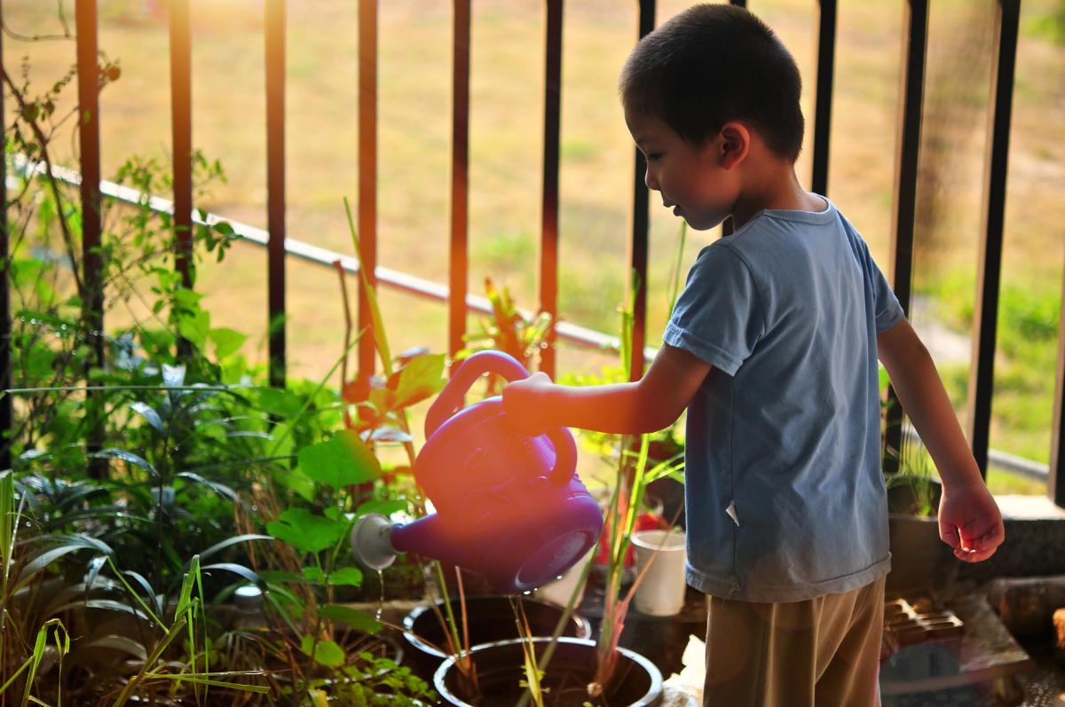 conseils de jardinage d'été pour faire pousser votre jardin